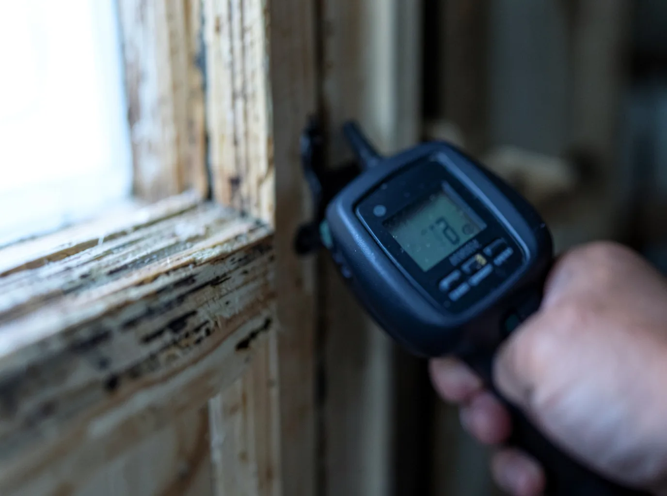 Commercial Water Damage Restoration in Stanwood, WA
